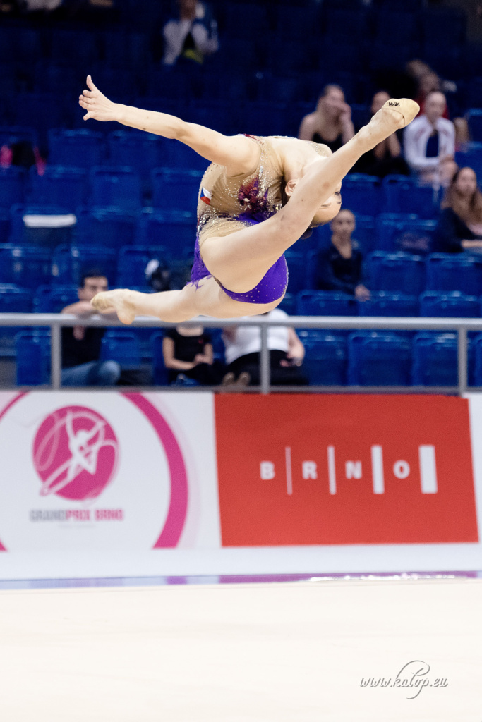 RG Grand Prix Brno 2019, qualification - seniors 1/2