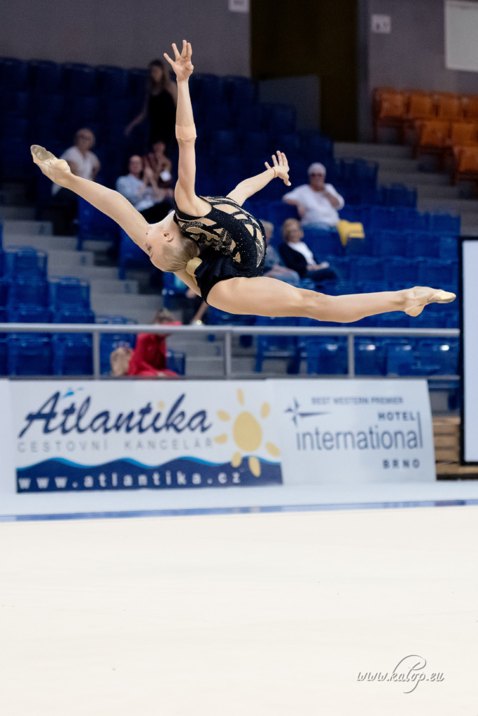 RG Grand Prix Brno 2019, qualification - seniors 2/2